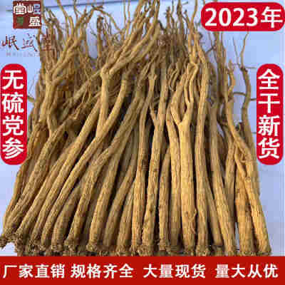 2024产地直供岷县党参条无硫水洗党参条 甘肃特产 源产地党参批发