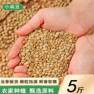 新小扁豆5斤甘肃特产农家新鲜扁豆兵豆扁豆子可生豆芽五谷杂粮