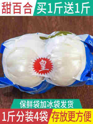 甘肃兰州百合新挖新鲜百合500g新鲜食用生甜白合非干货特产级包邮