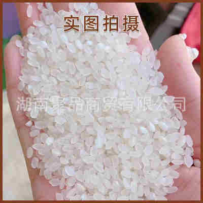 富硒大米会销批发2斤珍珠米砖稻花香真空米1000g粮油米面厂家直销