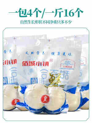 甘肃兰州百合新挖新鲜百合500g新鲜食用生甜白合非干货特产级包邮
