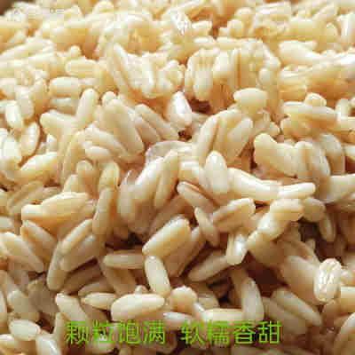 会宁尕老汉甜胚子甘肃兰州特产燕麦甜醅子奶茶商用袋装甜坯子2斤