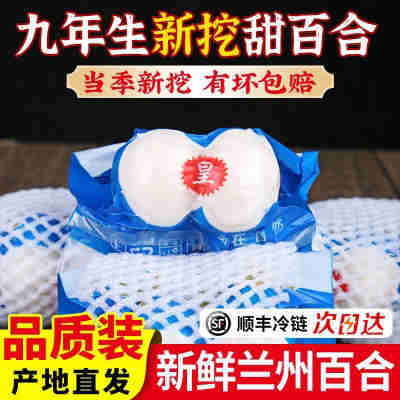 兰州百合新鲜百合500食用甜百合生白合非百合干货甘肃特产级包邮