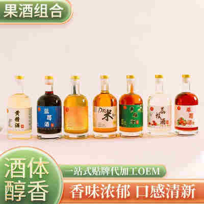 果酒组合低甜度女生微醺酒水果发酵微醺果味新鲜果酒500ml瓶装