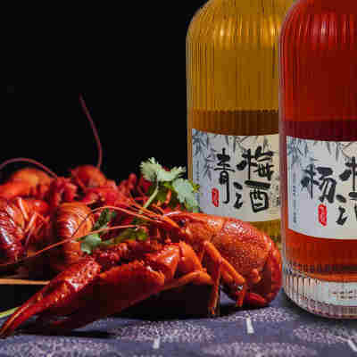 二口味 LANYAN杨梅酒青梅酒微醺梅子果酒500ml/瓶