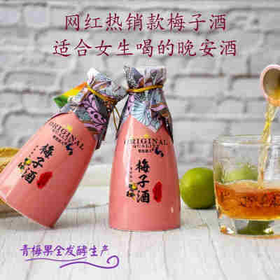【紫色恋人】农家酿梅子酒青梅酒低度甜酒整箱厂家批发微醺果酒