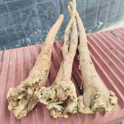 黄芪野生条无残硫泡水煲汤泡酒甘肃特产代加工饮片打粉中药材批发