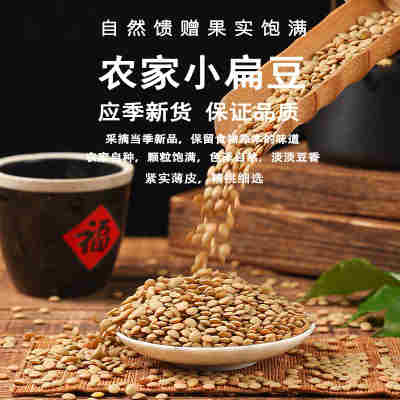 新小扁豆5斤甘肃特产农家新鲜扁豆兵豆扁豆子可生豆芽五谷杂粮